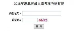 武汉大学成教本科准考证打印