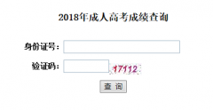 武汉大学成教本科成绩查询