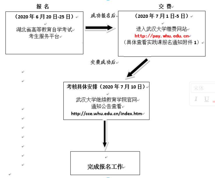 武大实践考核报名流程