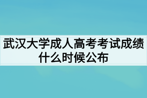 武汉大学成人高考考试成绩什么时候公布