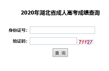 2020年武汉大学成人高考成绩查询入口已开通
