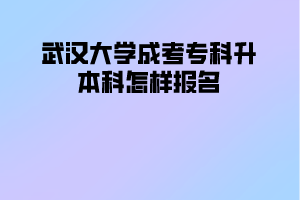 武汉大学成考专科升本科怎样报名