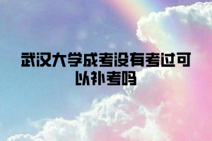 武汉大学成考没有考过可以补考吗