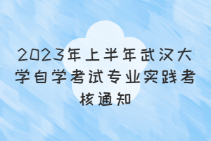 2023年上半年武汉大学自学考试专业实践考核通知